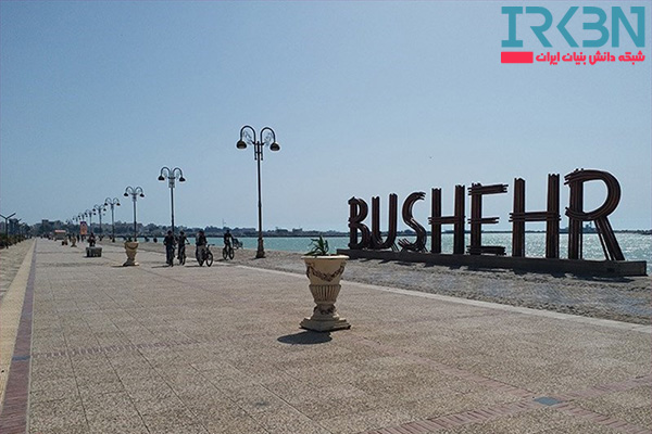دانش بنیان در بوشهر