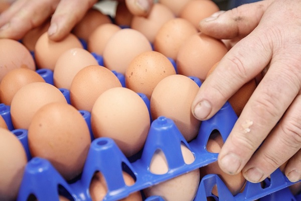 پوشش افزایش نگهداری تخم مرغ
