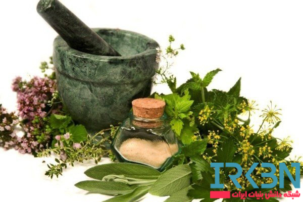 روند دانش بنیان شدن حوزه گیاهان دارویی